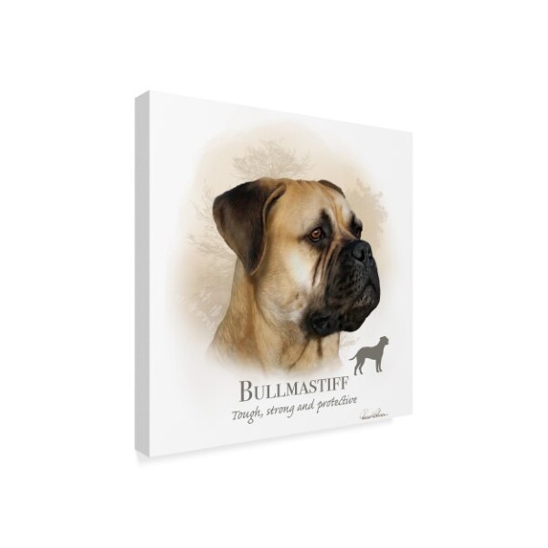 Howard Robinson 'Bullmastiff' Canvas Art,24x24